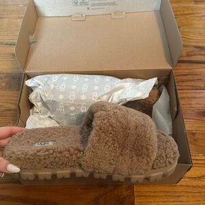 UGG COZETTA CURLY SLIPPERS - chestnut
